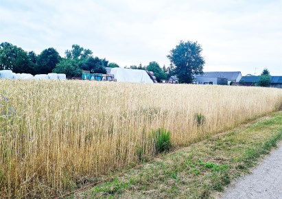 działka na sprzedaż - Brzeźnio, Kliczków Mały