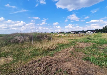 działka na sprzedaż - Sieradz (gw), Chojne