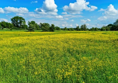 działka na sprzedaż - Burzenin, Jarocice