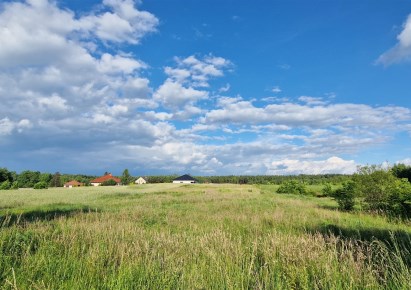 działka na sprzedaż - Burzenin, Strumiany