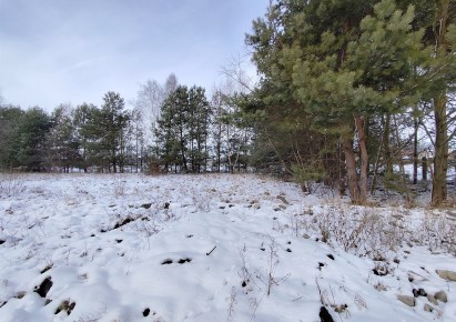 działka na sprzedaż - Zduńska Wola (gw), Izabelów Duży, Izabelów Mały