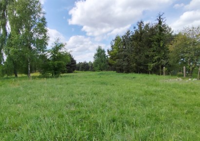 działka na sprzedaż - Zduńska Wola (gw), Izabelów Duży, Izabelów Mały