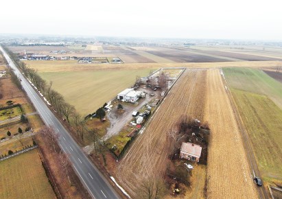 obiekt na sprzedaż - Brzeźnio, Próba