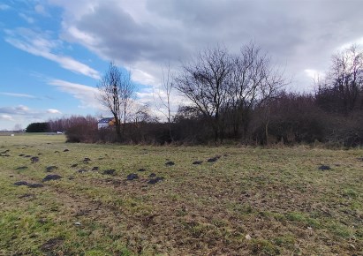 działka na sprzedaż - Złoczew