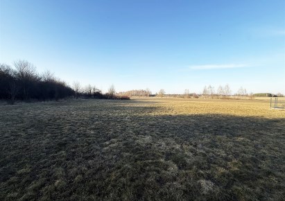 działka na sprzedaż - Złoczew