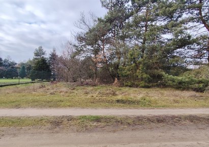 działka na sprzedaż - Pęczniew, Siedlątków