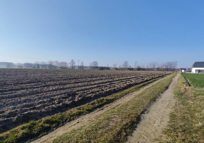 działka na sprzedaż - Sieradz