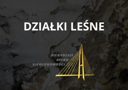 działka na sprzedaż - Złoczew