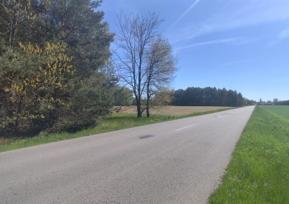 działka na sprzedaż - Wróblew, Drzązna