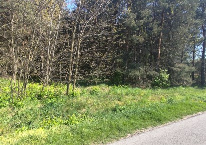 działka na sprzedaż - Wróblew, Drzązna