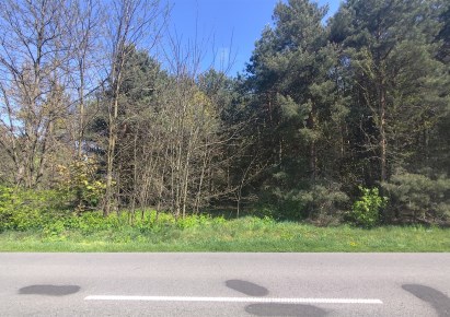 działka na sprzedaż - Wróblew, Drzązna