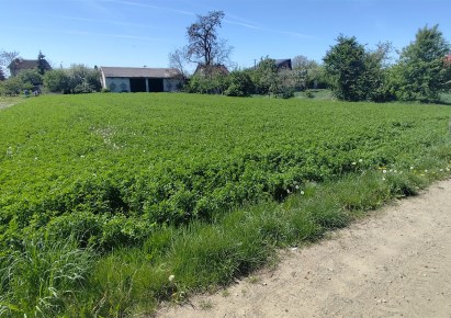 działka na sprzedaż - Sieradz, Woźniki