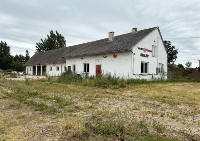 hala na wynajem - Wróblew, Drzązna