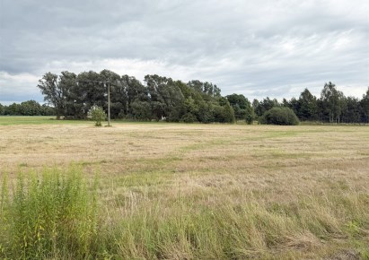 działka na sprzedaż - Sieradz (gw), Sucha