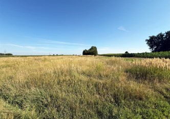 działka na sprzedaż - Sieradz