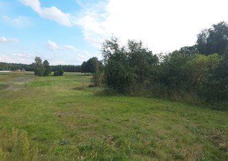 działka na sprzedaż - Zduńska Wola (gw), Zamłynie