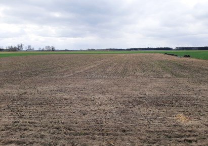 działka na sprzedaż - Brąszewice, Bukowiec