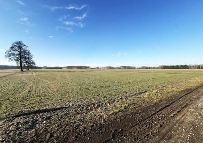 działka na sprzedaż - Sieradz (gw), Wiechucice