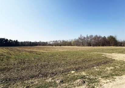 działka na sprzedaż - Sieradz (gw), Grabowiec, Stawiszcze