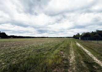 działka na sprzedaż - Warta (gw), Pierzchnia Góra