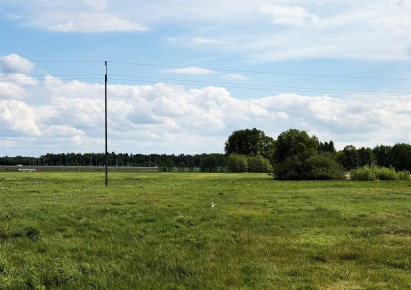 działka na sprzedaż - Złoczew