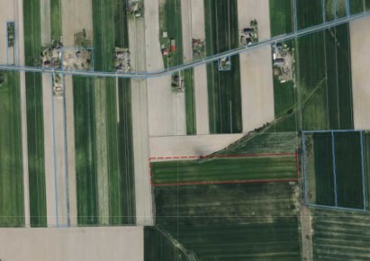 działka na sprzedaż - Burzenin, Niechmirów