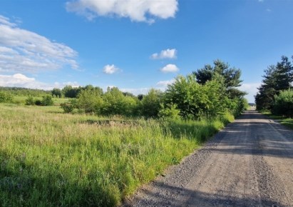 działka na sprzedaż - Burzenin, Strumiany