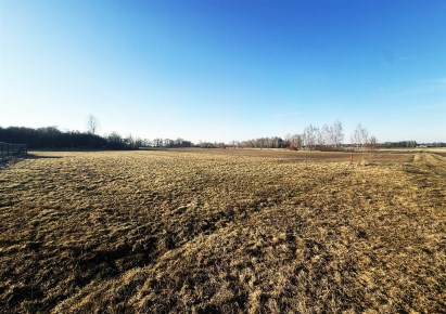 działka na sprzedaż - Złoczew