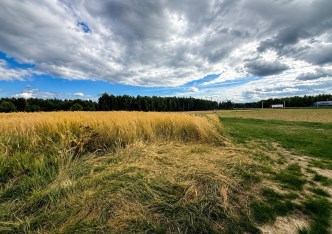 działka na sprzedaż - Sieradz
